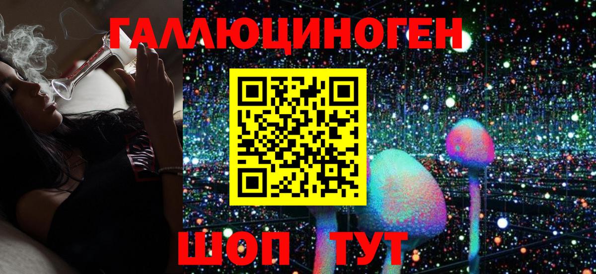 Усть-Джегута  Галлюциногенные грибы Magic Shrooms  Вход с VPN 