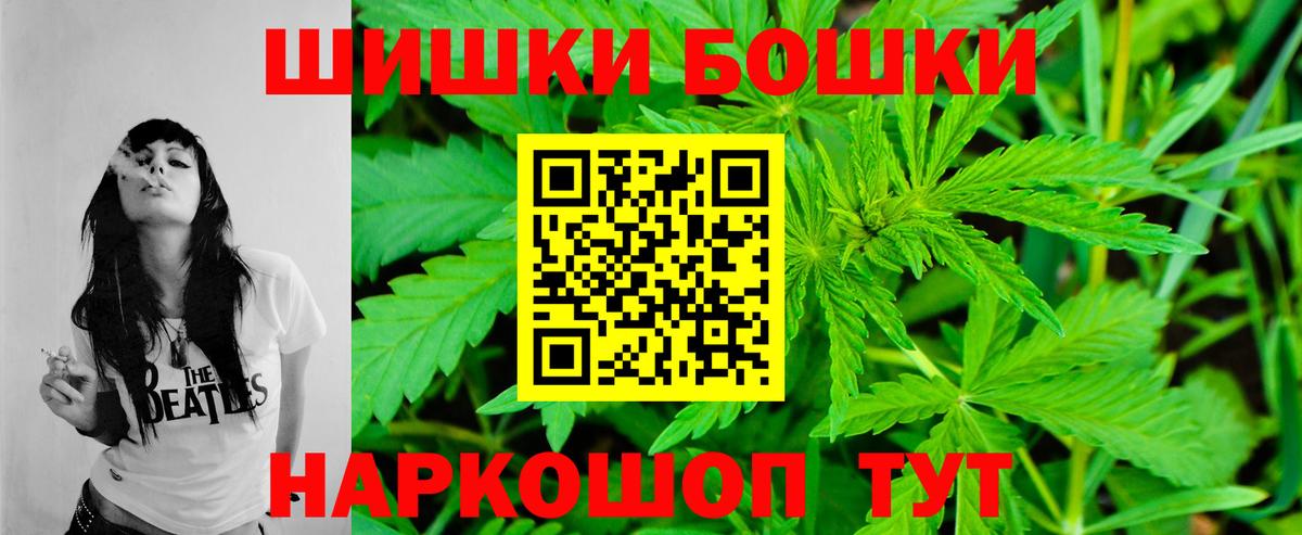 Конопля сатива  Вход с VPN  Канабис OG Kush  Усть-Джегута  Каннабис планчик 