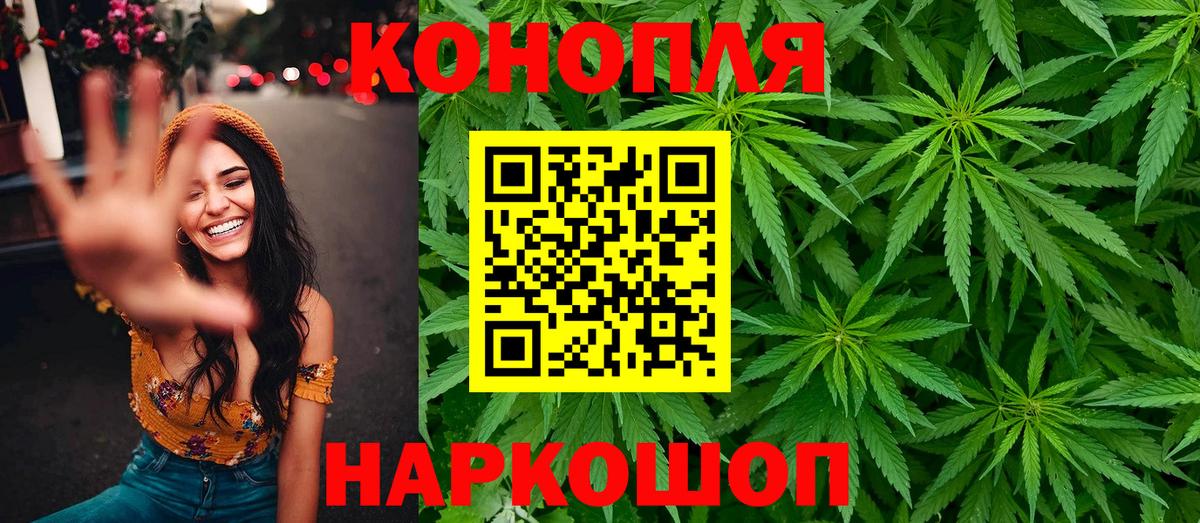 МАРИХУАНА сатива Усть-Джегута